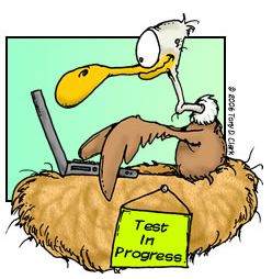 Test in progress